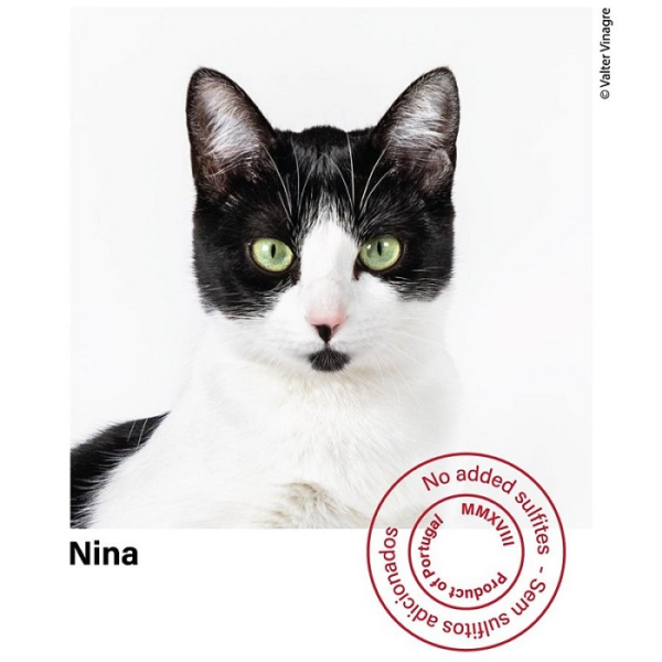 2019 Planet Mouraz Nina BIO Tinto Ed. Limitada